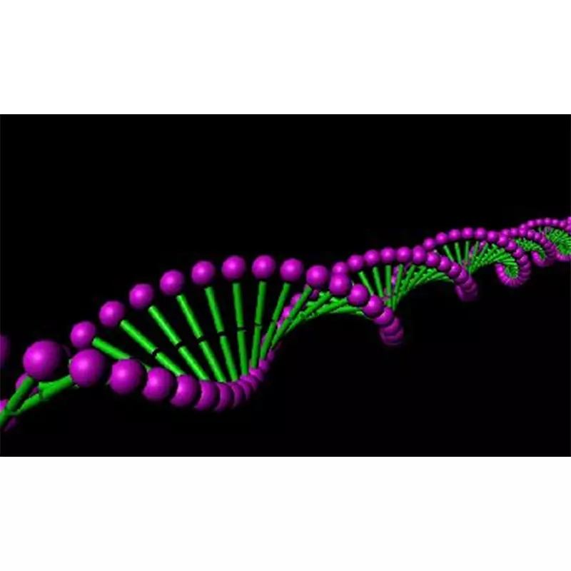 gambar Special Protein Items